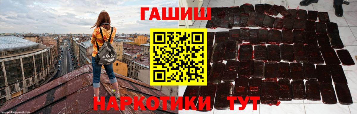 Гатчина  где продают наркотики  Вход с VPN  ГАШ индика сатива 