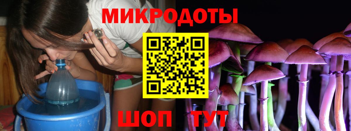 Псилоцибиновые грибы Psilocybine cubensis Гатчина
